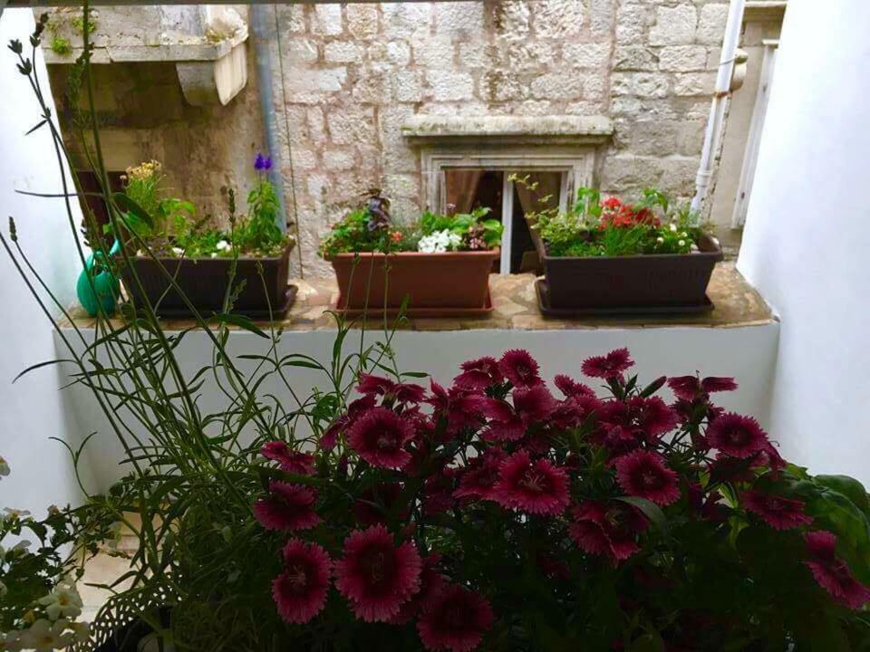 Puntin Rooms Sobe Korcula Town Exterior photo